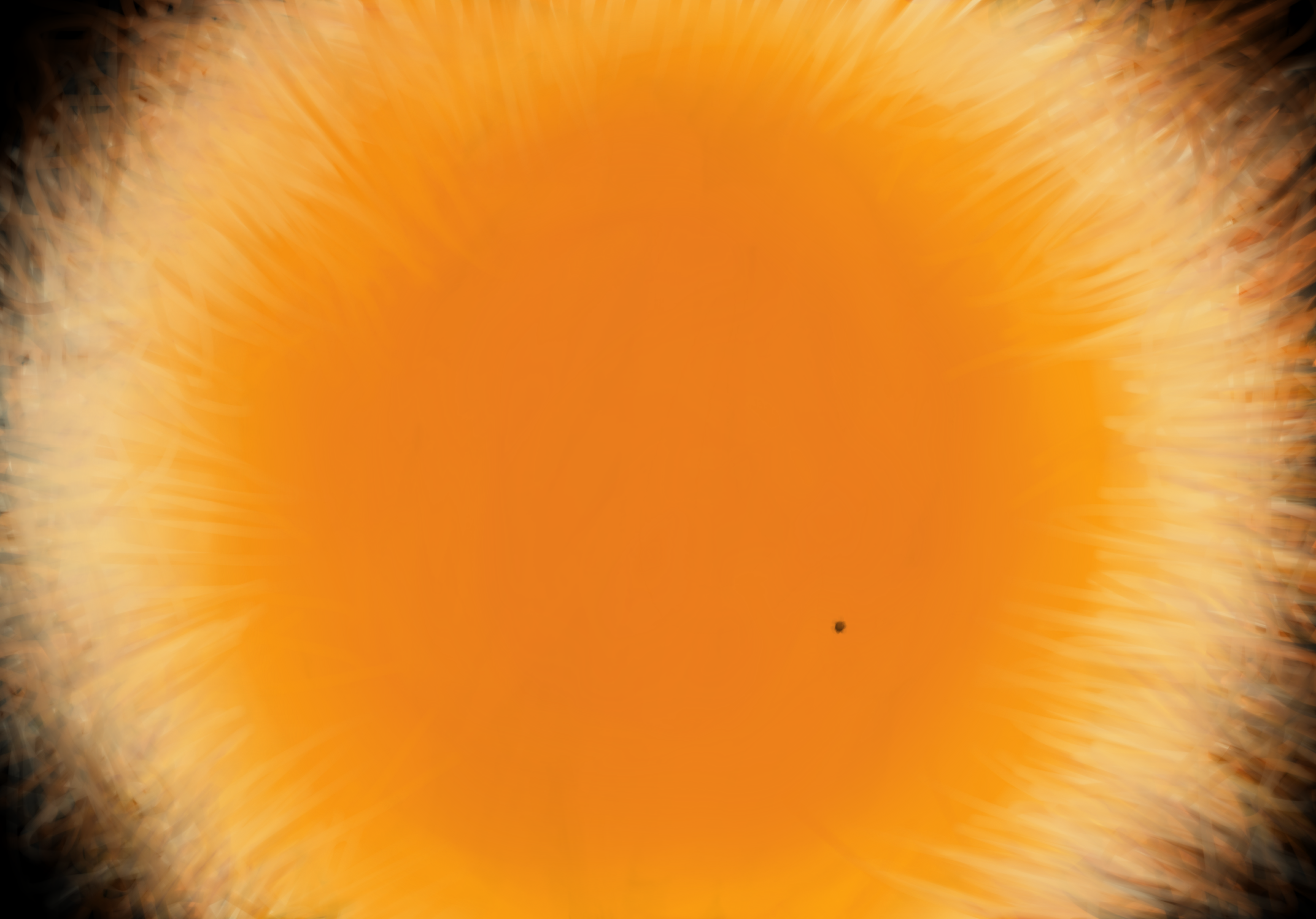 Sun Spots Image