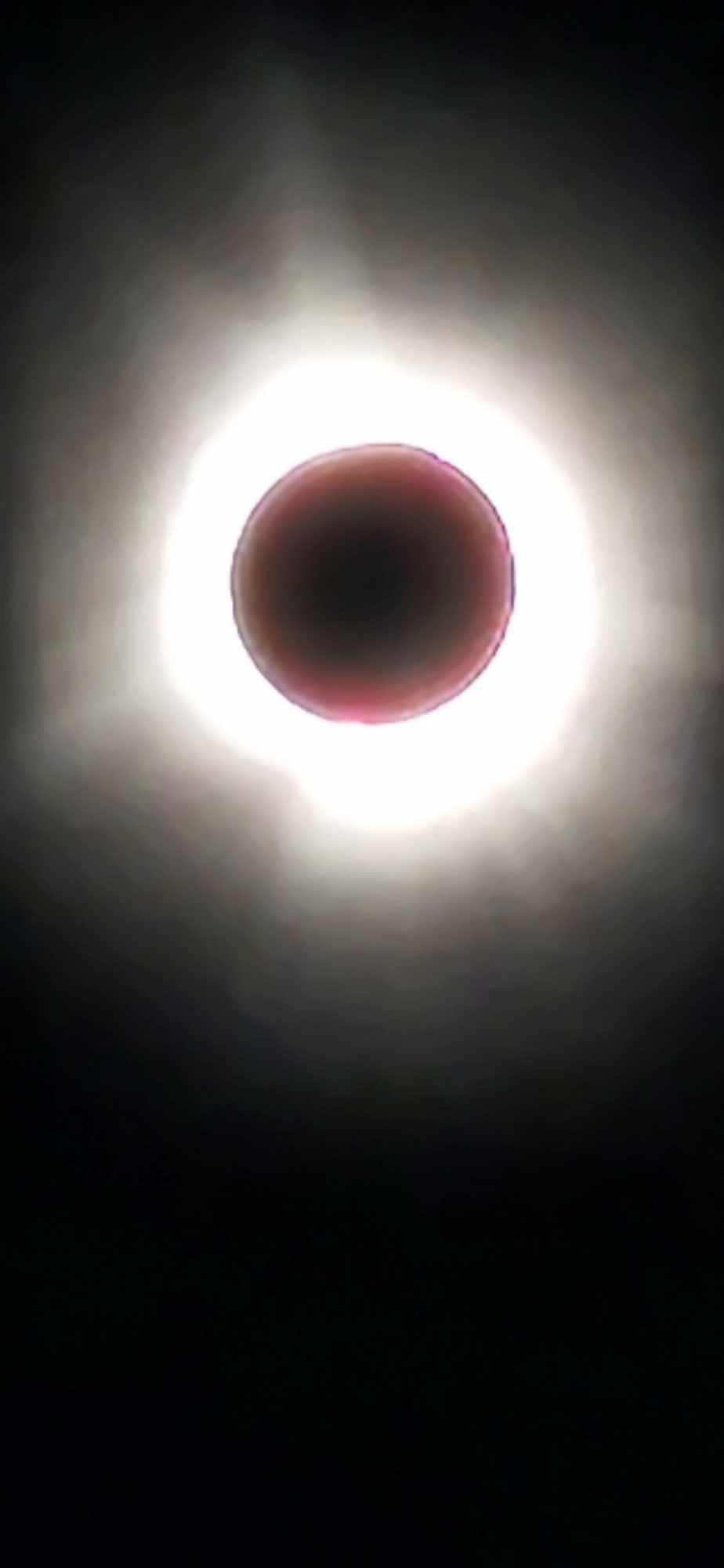 Photo of the eclipse