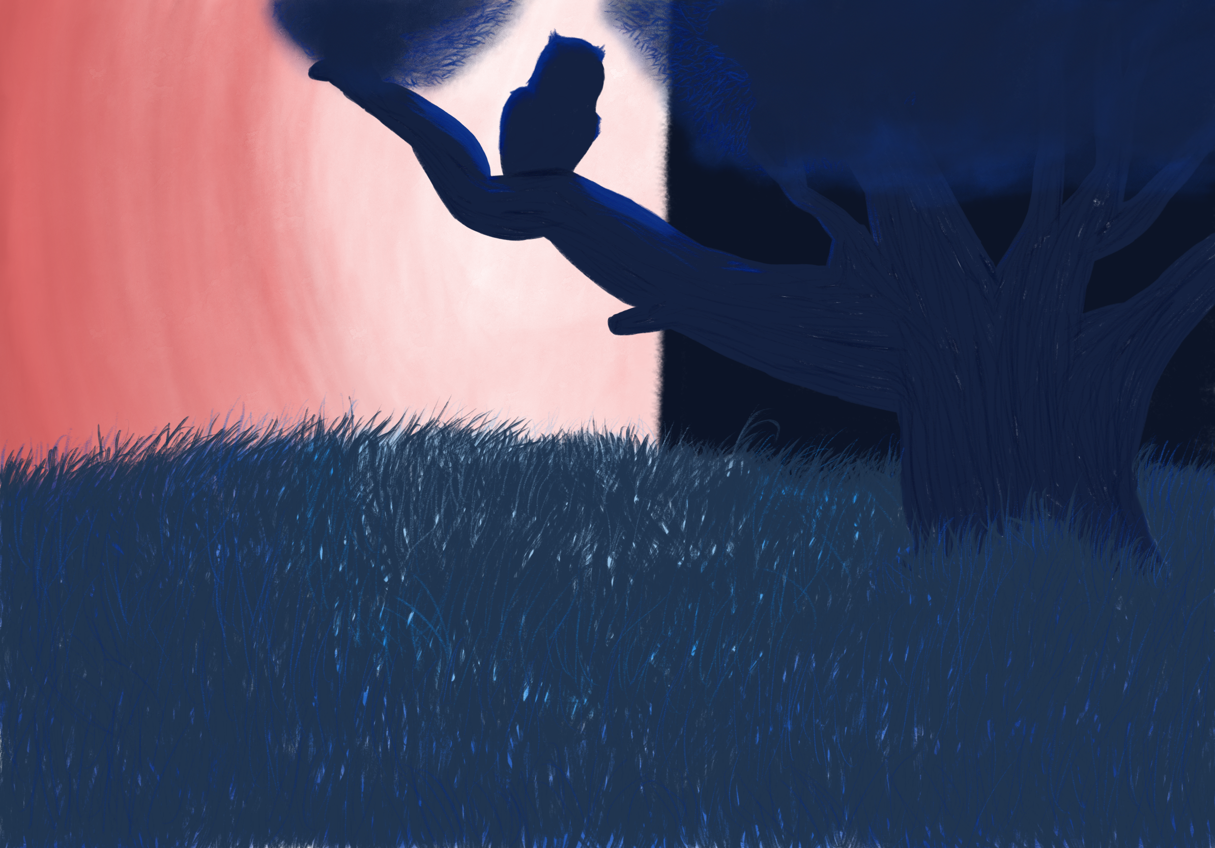 Digital painting of an owl in a tree